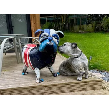 Garden Sculptures Winston The Bull Dog
