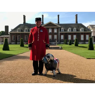 Winston The Bull Dog