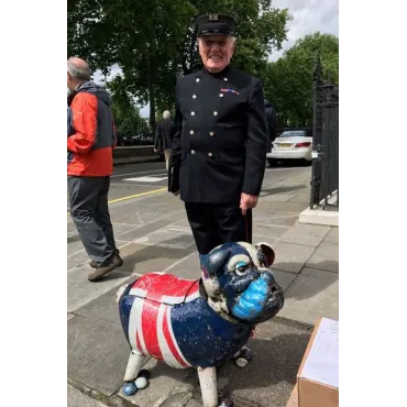 Winston The Bull Dog