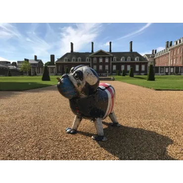 Winston The Bull Dog