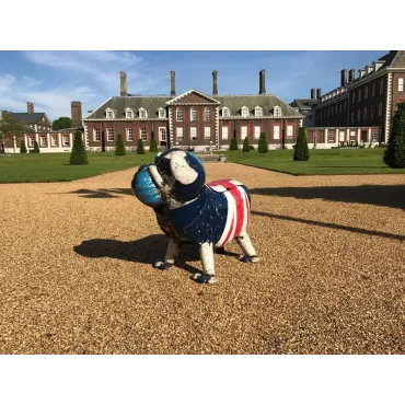 Winston The Bull Dog