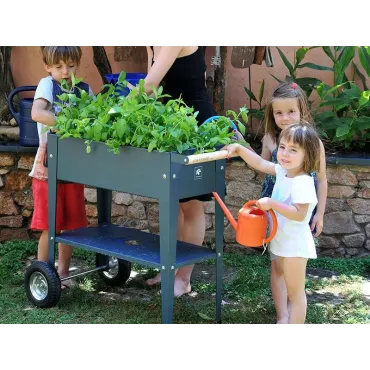 Urban Garden Trolley | Anthracite