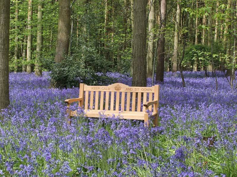 Teak Windsor Bench 150cm