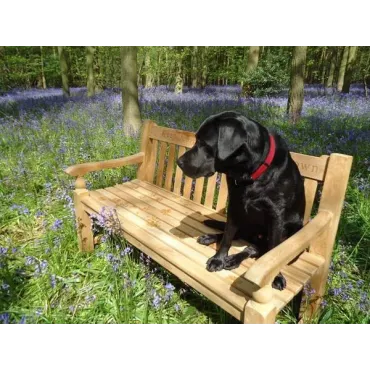 Teak Windsor Bench 150cm