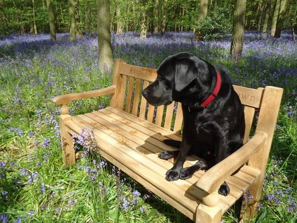 Teak Windsor Bench 150cm