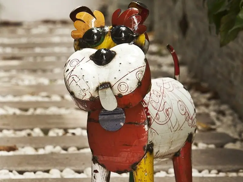 Ralph The Dog