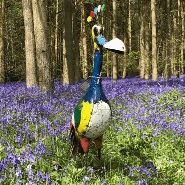 Baz The Father Bird