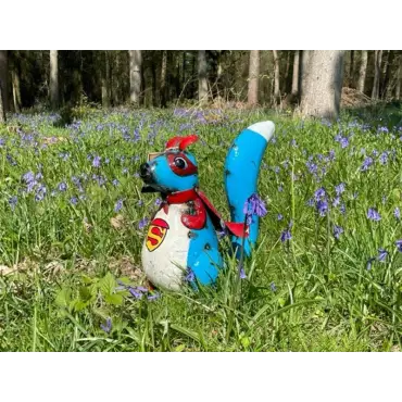 Sam the Super Squirrel