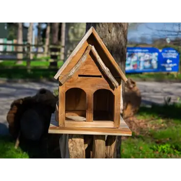 Teak Bird House | Medium
