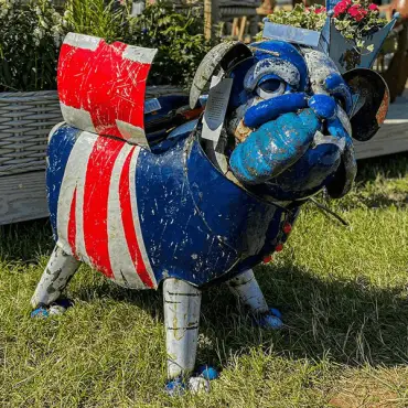 Winston The Bull Dog