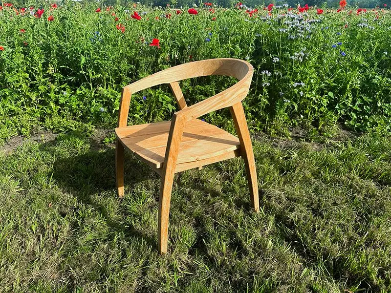 Teak Dining Armchair Bari