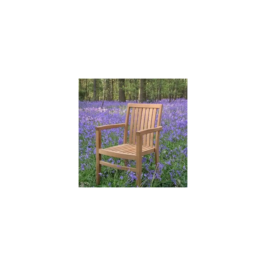 Warwick stacking chair Certified Warwick stacking chair Certified