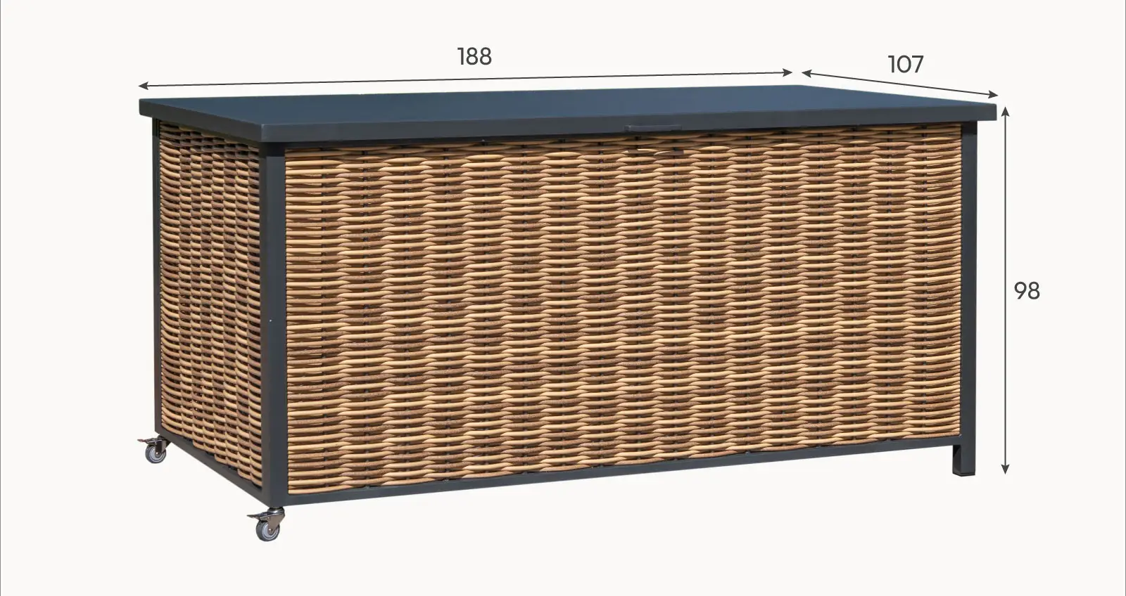 Caleb Rattan Aluminium Storage Box