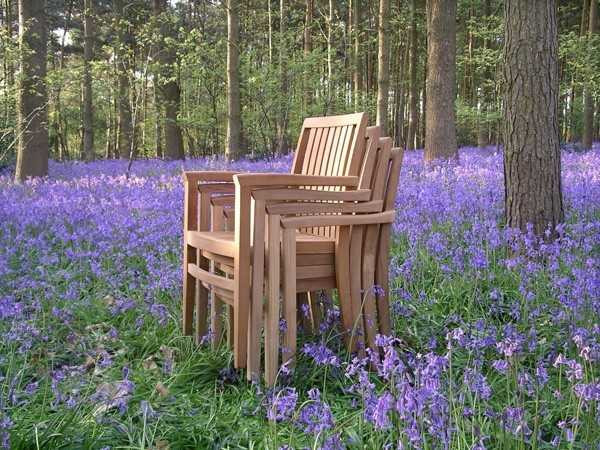 Warwick stacking chair Certified