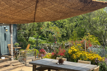 Coir Solutions: A Natural Choice for Sustainable Garden Spaces
