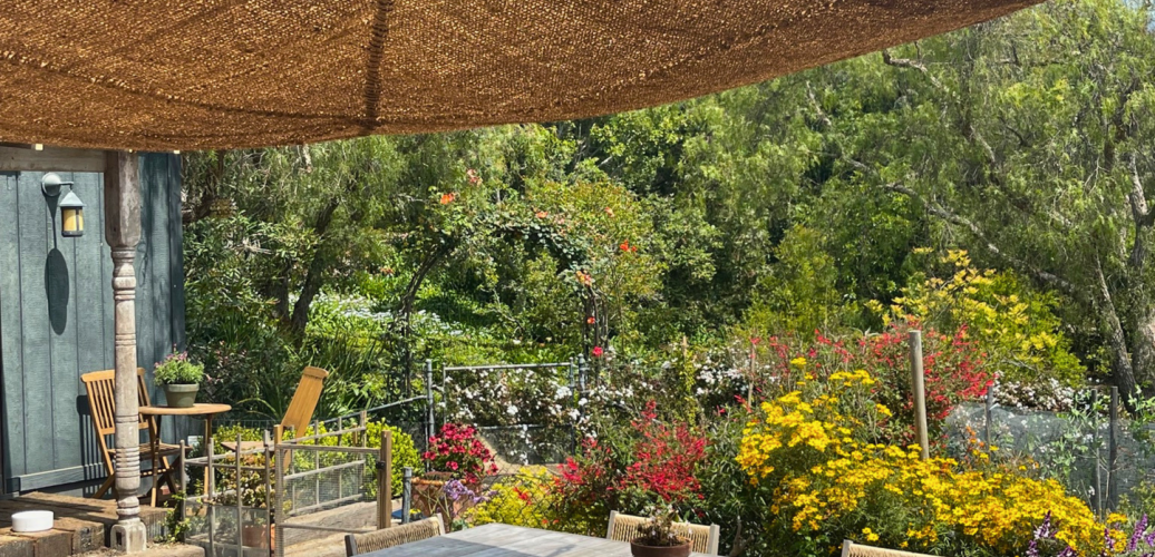Coir Solutions: A Natural Choice for Sustainable Garden Spaces